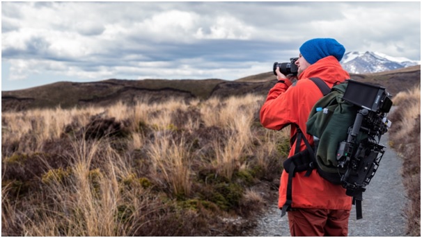 How to Become a Professional Nature Photographer